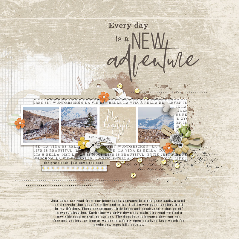 New Adventure