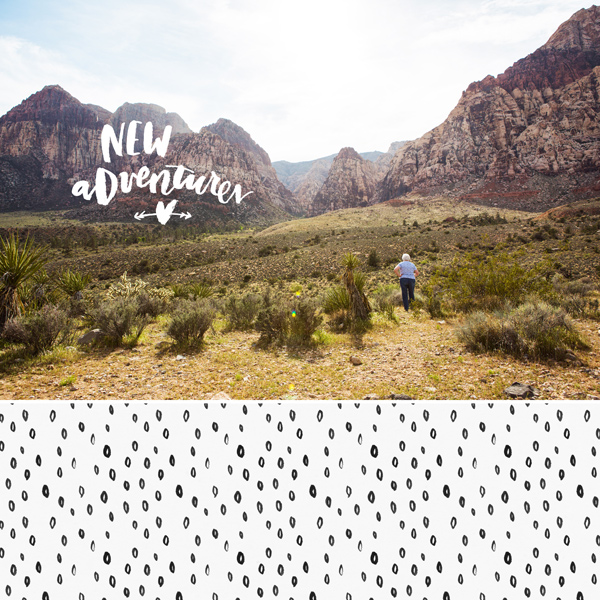 New Adventures