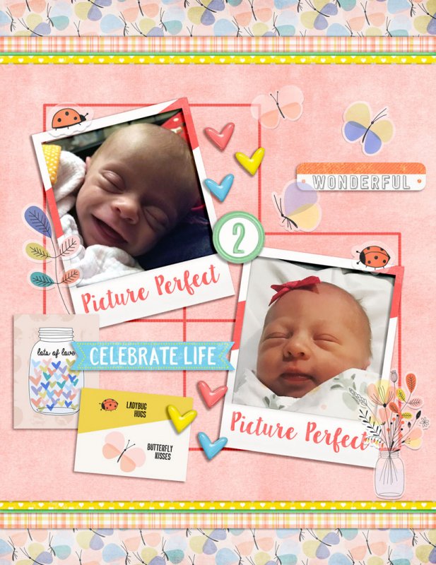 NEW BABIES! - #TLPLOD - JUST JAIMEE