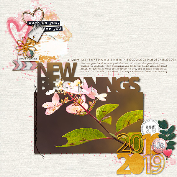 New Beginnings | MOC 2019 Day 12