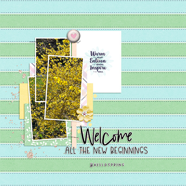 New Beginnings