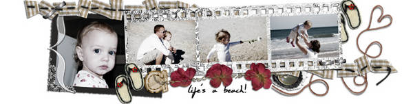 new blog header