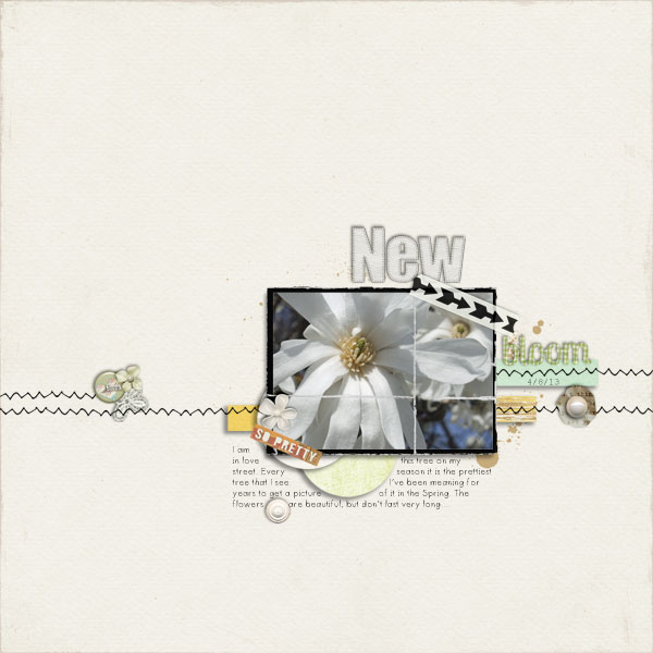 New Bloom