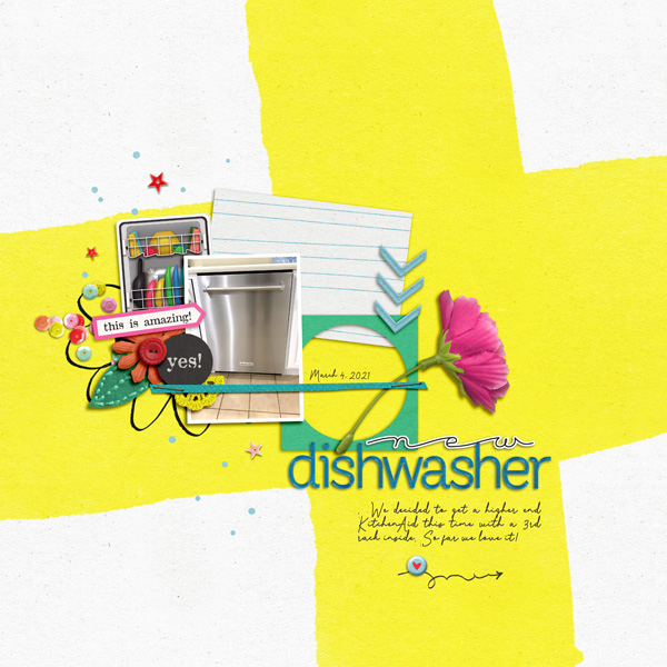 New Dishwasher