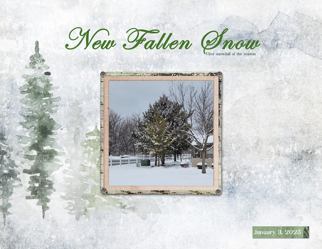 New-Fallen-Snow