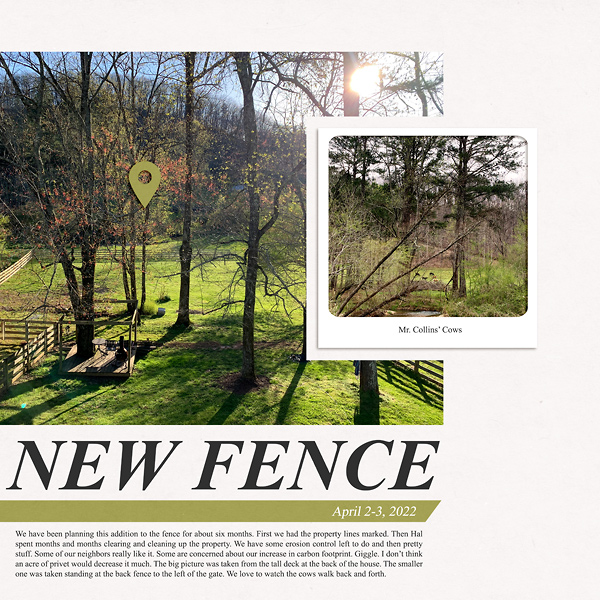 New Fence
