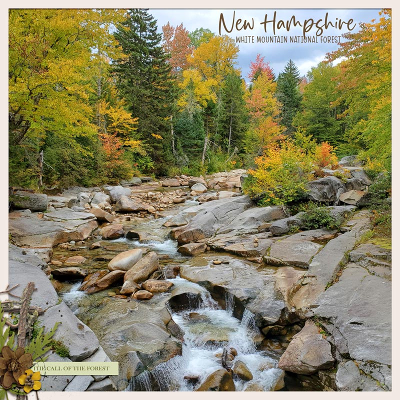 New Hampshire