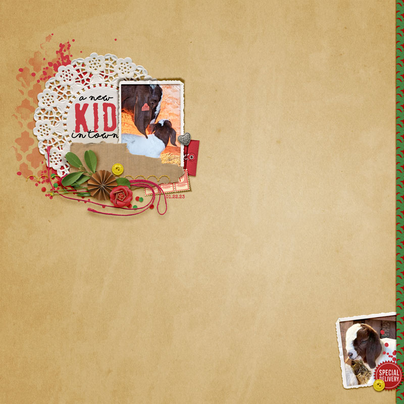 New-kid