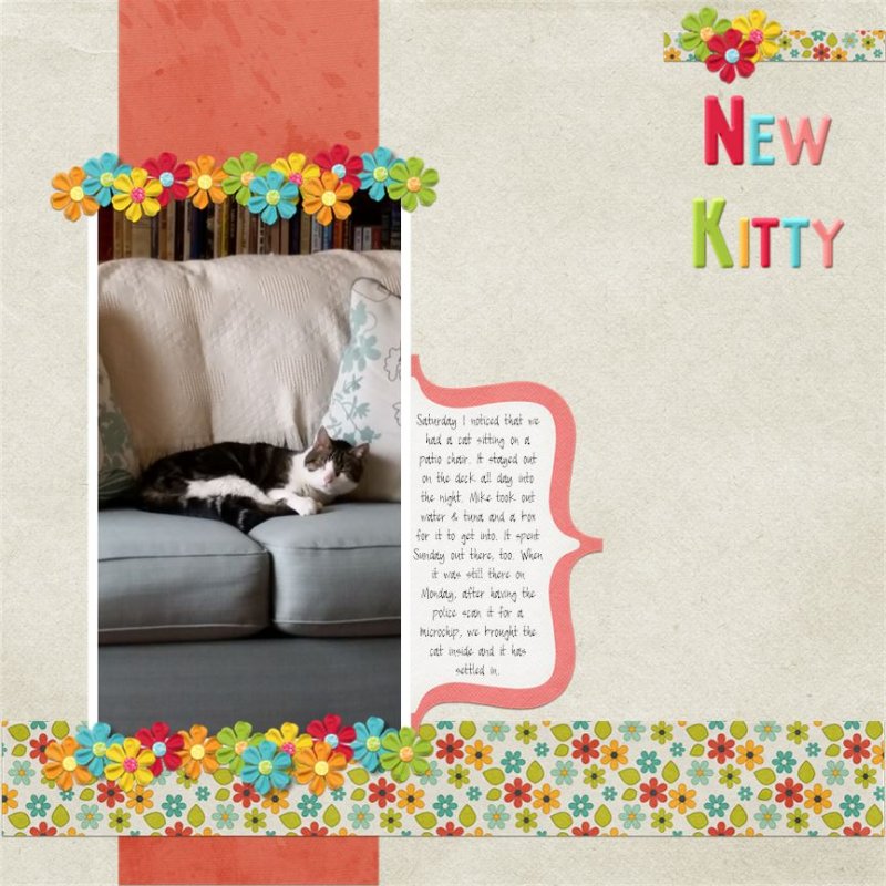 New Kitty
