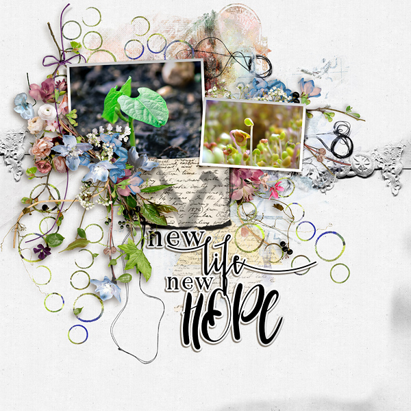 New Life New Hope