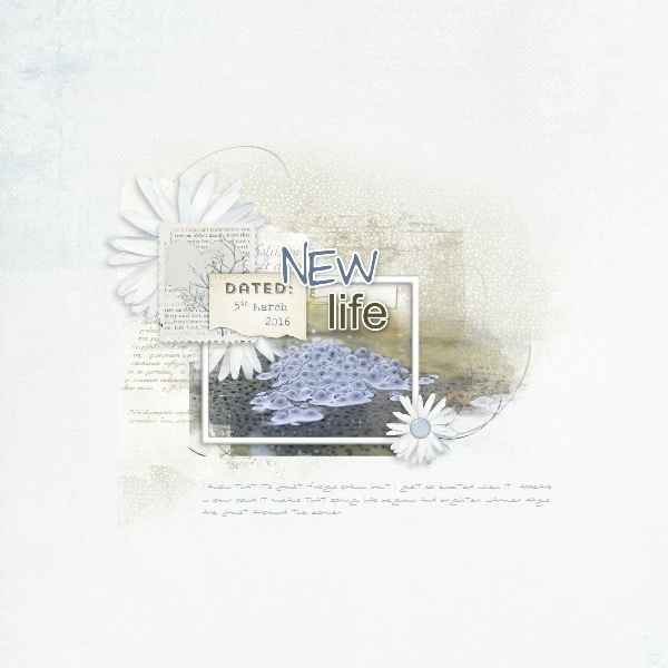 New Life