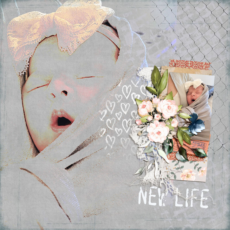 New-Life