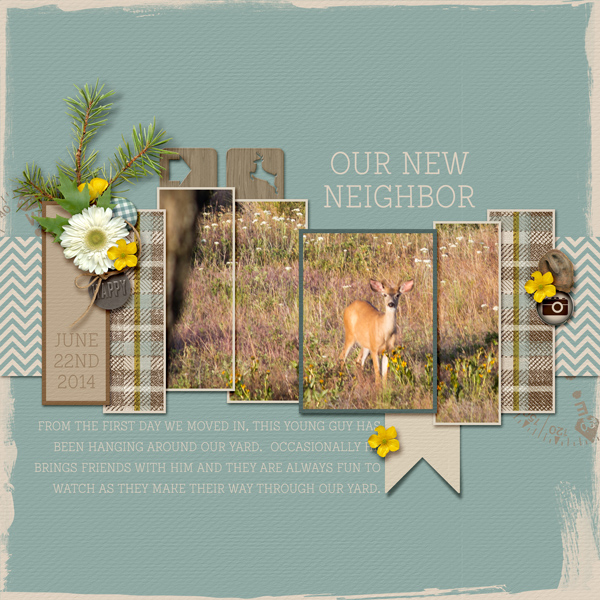 New Neighbor