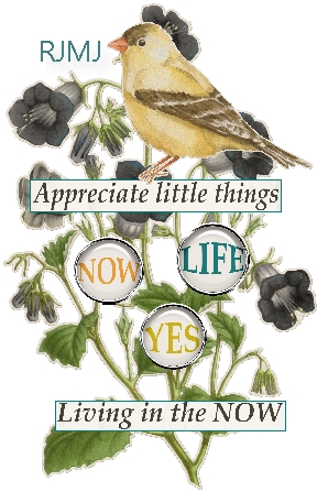 New November Siggie-Simple Life