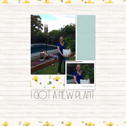 New Plant