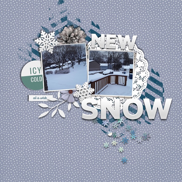 NEW SNOW