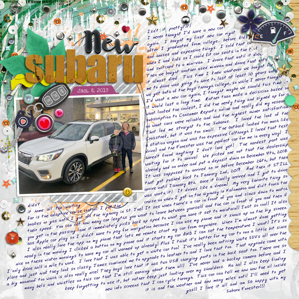 New Subaru - Day 20