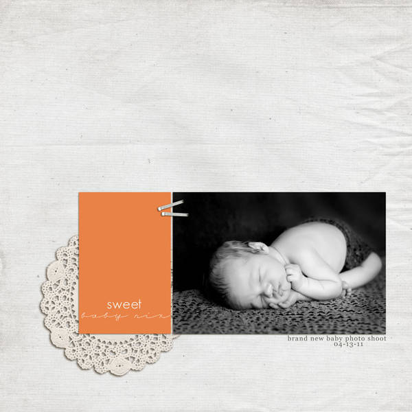 Newborn Photo Shoot