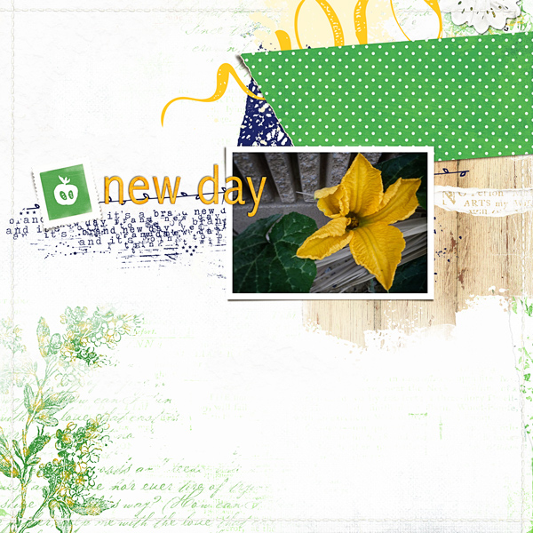 NewDay