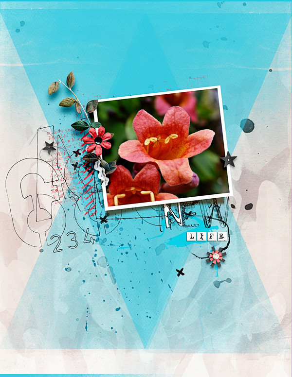 NewLife