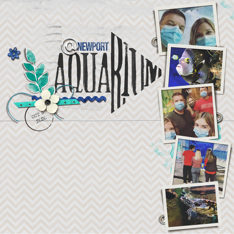 Newport Aquarium | Oct 2020