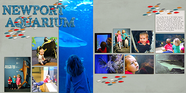Newport Aquarium