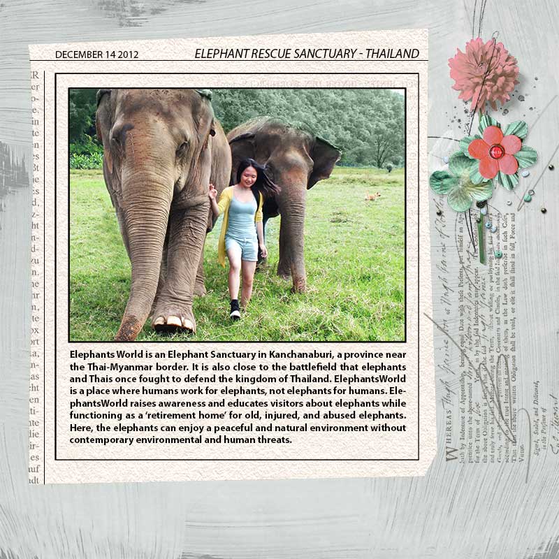 Newspaper-Clipping-No2