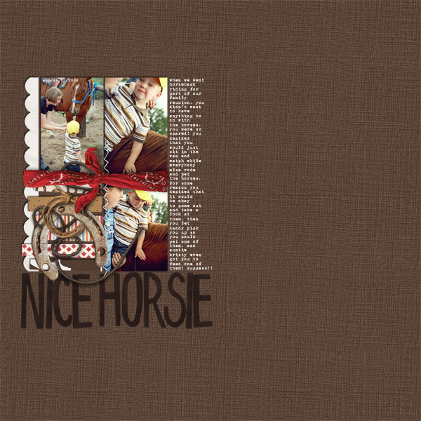 Nice Horsie