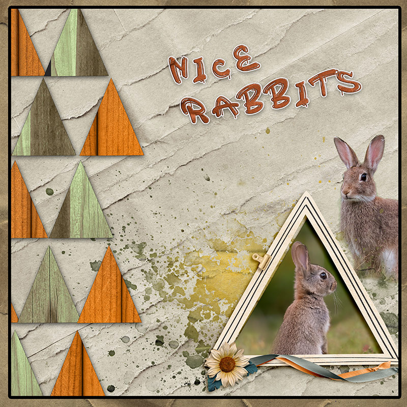 Nice Rabbits