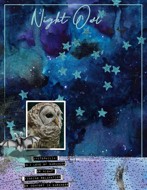 NIGHT-OWL
