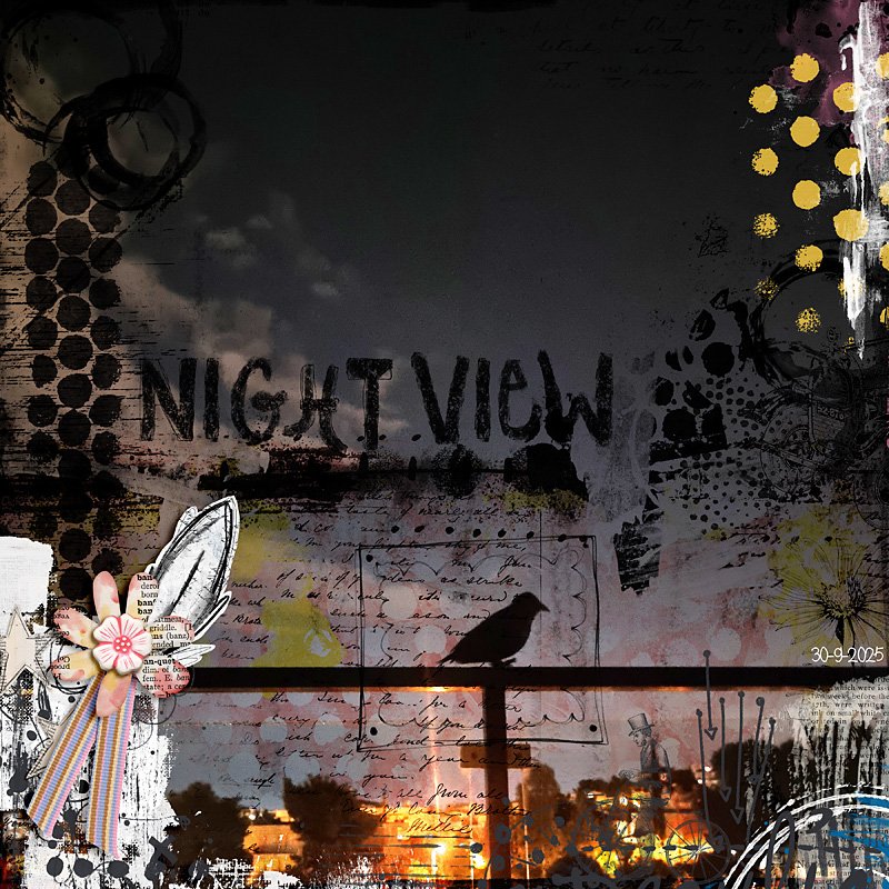 Night view