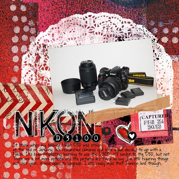 Nikon D3100
