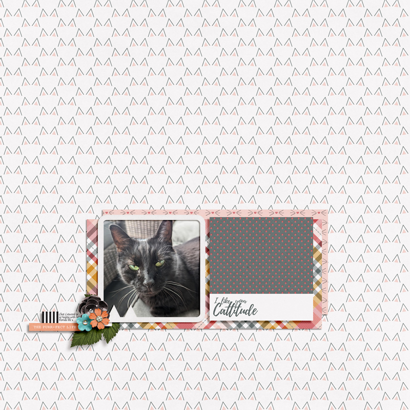 ninigoesdigi x Anita Designs - Purfect Tales - Aug23