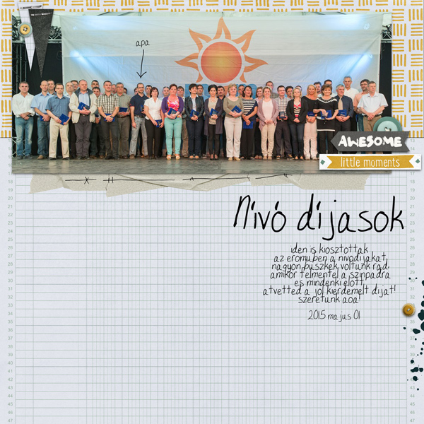 nivo dijasok