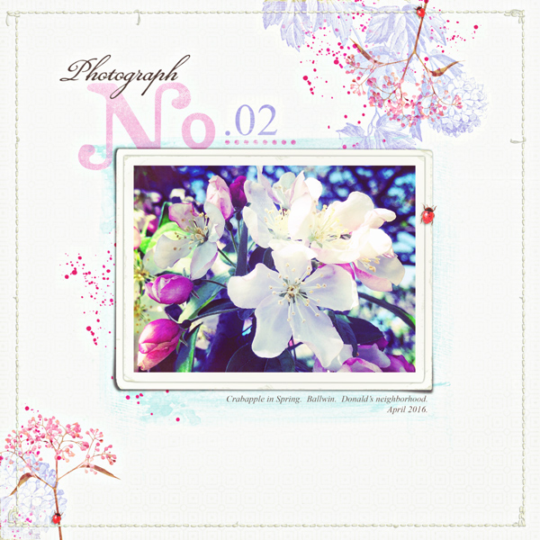 No.02