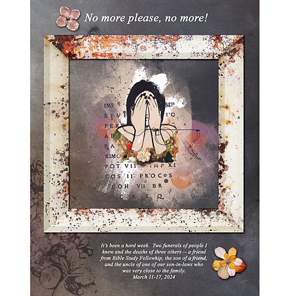 No-More_flowersgal_sq_web