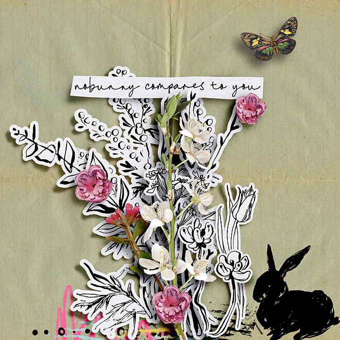 Nobunny compares to you
