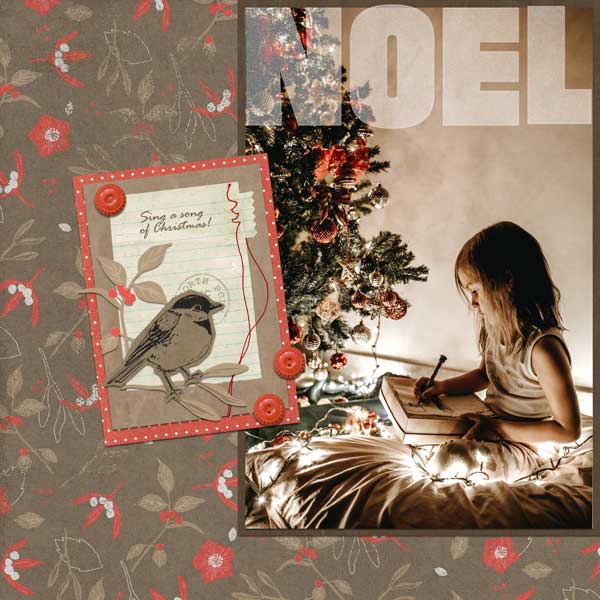 NOEL