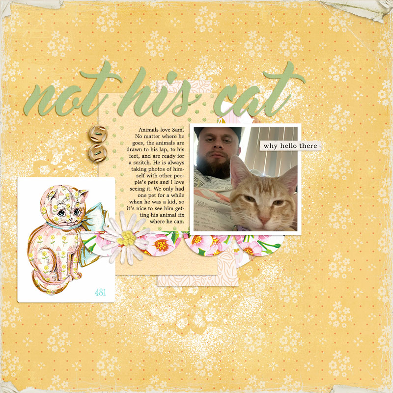 Not His Cat