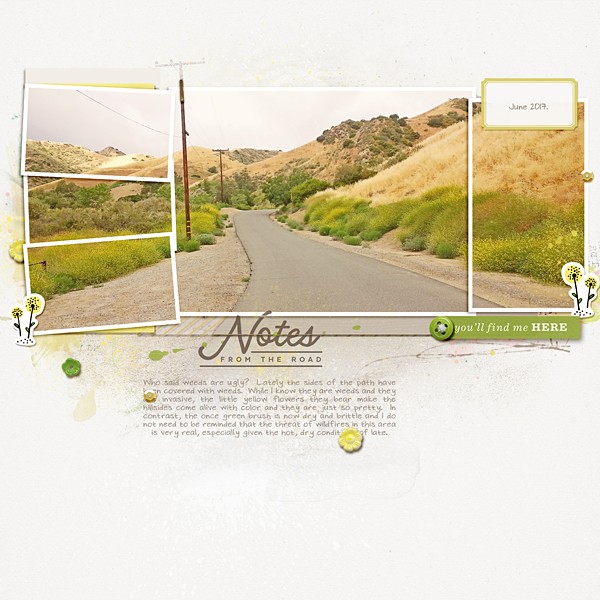Notes from the Road