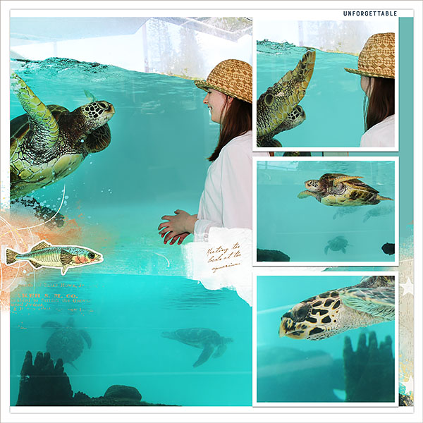 Noumea Aquarium