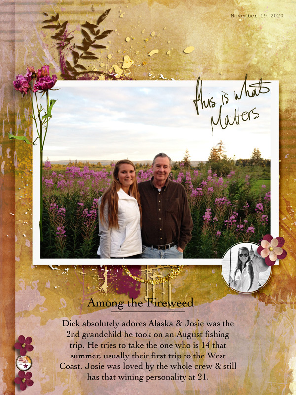 Nov-20-Among-the-Fireweed