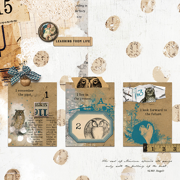 Nov 22 Muse Week 1 Layout