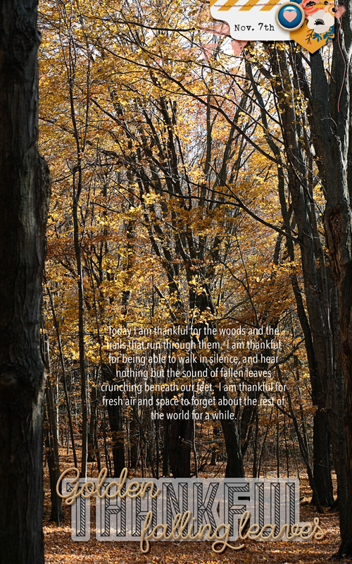 Nov 7 - 30 Days of Thankful
