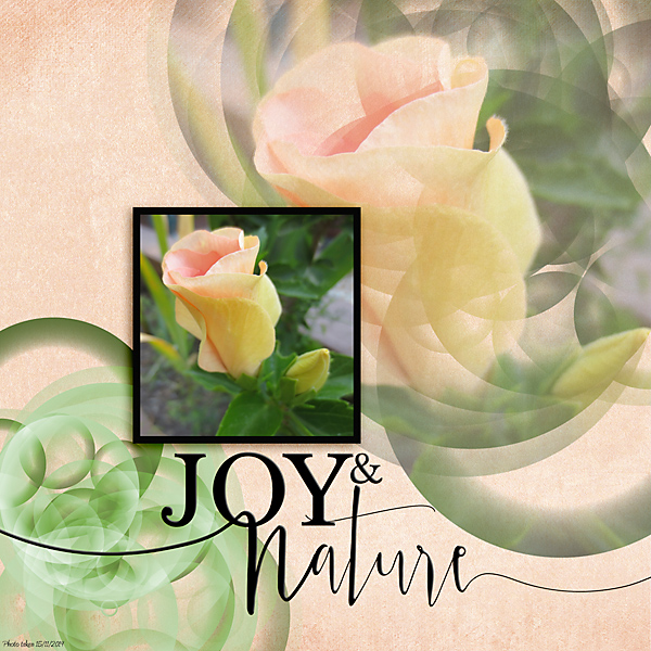 Nov/Dec Magic Lights Challenge - Joy and Nature