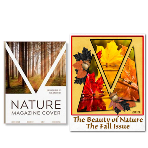 Nov Month Muse Week 1 Magazine Inspiration