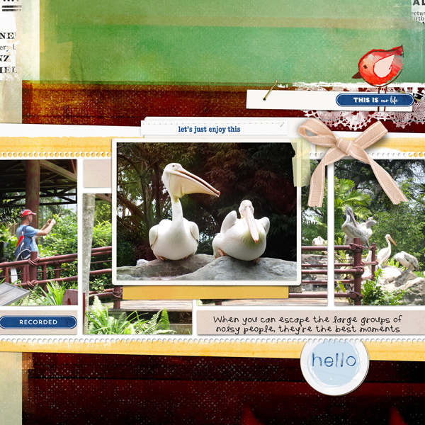 Nov Style Chall - bird life