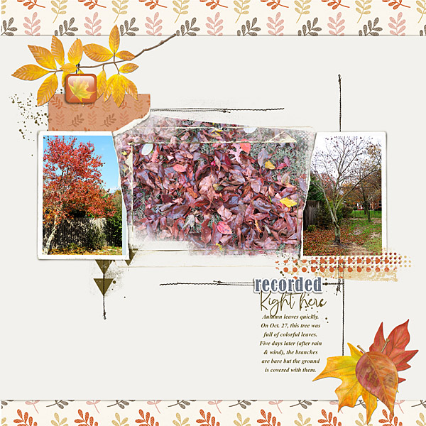 Nov2018_Photo Chall_web