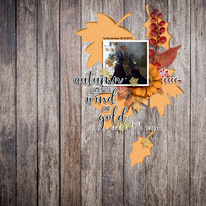 Nov22_Inspiration Challenge_And a little snow..