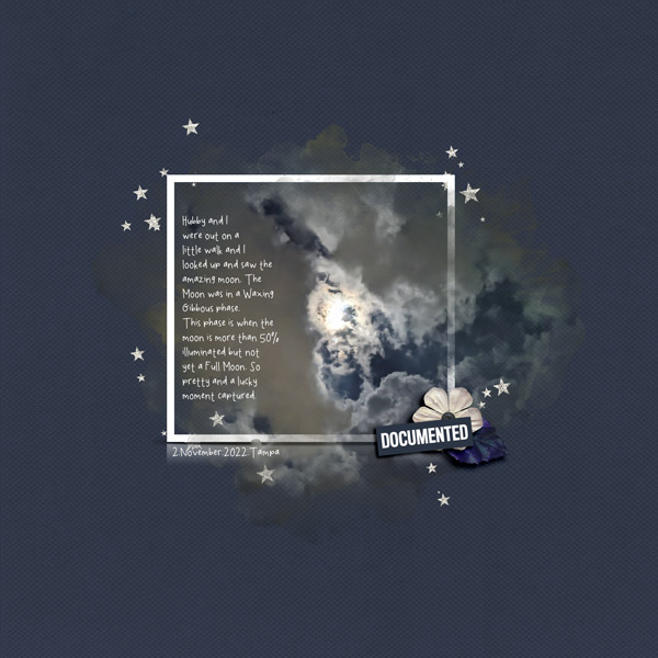 Nov22_Journaling_Moon Phase